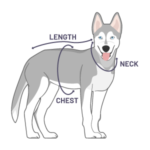 What is Husky Size in Clothing  Answered  Explained